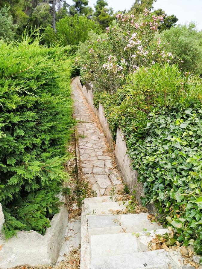 Villa Opali كاساندريا المظهر الخارجي الصورة